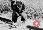 Image of Arab-Israeli conflict Gaza Strip, 1956, second 62 stock footage video 65675046953