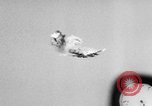 Image of sparrow Missile United States USA, 1956, second 32 stock footage video 65675046954