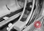 Standbild Mechanischer Stift Setter Roselle New Jersey USA, 1956, aus Sekunde 16 historischem Filmmaterial Videoclip 65675046958