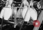 Standbild Mechanischer Stift Setter Roselle New Jersey USA, 1956, aus Sekunde 35 historischem Filmmaterial Videoclip 65675046958