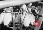 Standbild Mechanischer Stift Setter Roselle New Jersey USA, 1956, aus Sekunde 36 historischem Filmmaterial Videoclip 65675046958