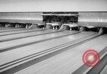 Standbild Mechanischer Stift Setter Roselle New Jersey USA, 1956, aus Sekunde 48 historischem Filmmaterial Videoclip 65675046958