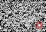 Standbild Stierkampf Kolumbien, 1956, aus Sekunde 7 historischem Filmmaterial Videoclip 65675046959