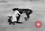 Standbild Stierkampf Kolumbien, 1956, aus Sekunde 14 historischem Filmmaterial Videoclip 65675046959