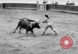 Standbild Stierkampf Kolumbien, 1956, aus Sekunde 24 historischem Filmmaterial Videoclip 65675046959