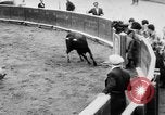 Standbild Stierkampf Kolumbien, 1956, aus Sekunde 28 historischem Filmmaterial Videoclip 65675046959