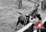 Standbild Stierkampf Kolumbien, 1956, aus Sekunde 30 historischem Filmmaterial Videoclip 65675046959