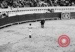 Standbild Stierkampf Kolumbien, 1956, aus Sekunde 33 historischem Filmmaterial Videoclip 65675046959