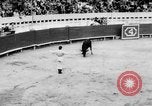 Standbild Stierkampf Kolumbien, 1956, aus Sekunde 34 historischem Filmmaterial Videoclip 65675046959