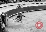 Standbild Stierkampf Kolumbien, 1956, aus Sekunde 42 historischem Filmmaterial Videoclip 65675046959