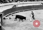 Standbild Stierkampf Kolumbien, 1956, aus Sekunde 43 historischem Filmmaterial Videoclip 65675046959