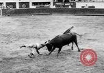 Standbild Stierkampf Kolumbien, 1956, aus Sekunde 47 historischem Filmmaterial Videoclip 65675046959
