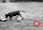 Standbild Stierkampf Kolumbien, 1956, aus Sekunde 50 historischem Filmmaterial Videoclip 65675046959