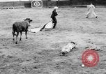 Standbild Stierkampf Kolumbien, 1956, aus Sekunde 52 historischem Filmmaterial Videoclip 65675046959
