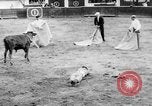 Standbild Stierkampf Kolumbien, 1956, aus Sekunde 55 historischem Filmmaterial Videoclip 65675046959