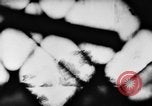 Standbild Börse in Brand Wien Österreich, 1956, aus Sekunde 32 historischem Filmmaterial Videoclip 65675046963