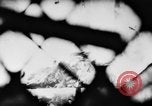 Standbild Börse in Brand Wien Österreich, 1956, aus Sekunde 33 historischem Filmmaterial Videoclip 65675046963