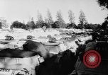 Image of Suez canal crises Cairo Egypt, 1956, second 20 stock footage video 65675046968