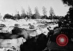 Image of Suez canal crises Cairo Egypt, 1956, second 21 stock footage video 65675046968