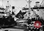 Image of Suez canal crises Cairo Egypt, 1956, second 55 stock footage video 65675046968
