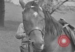 Immagine di Omar Nelson Bradley Bad Wildungen Germania, 1945, secondo 4 filmato di repertorio 65675046983