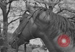Immagine di Omar Nelson Bradley Bad Wildungen Germania, 1945, secondo 6 filmato di repertorio 65675046983