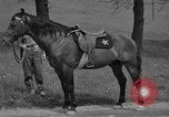 Immagine di Omar Nelson Bradley Bad Wildungen Germania, 1945, secondo 10 filmato di repertorio 65675046983