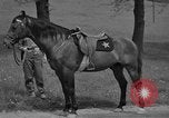 Immagine di Omar Nelson Bradley Bad Wildungen Germania, 1945, secondo 11 filmato di repertorio 65675046983