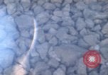 Image of Fillmore Mearns Germany, 1971, second 21 stock footage video 65675046995