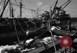 Standbild USS Valley Forge CV-45 Karibik, 1956, aus Sekunde 23 historischem Filmmaterial Videoclip 65675047022