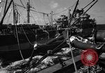 Standbild USS Valley Forge CV-45 Karibik, 1956, aus Sekunde 26 historischem Filmmaterial Videoclip 65675047022