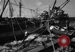Standbild USS Valley Forge CV-45 Karibik, 1956, aus Sekunde 27 historischem Filmmaterial Videoclip 65675047022