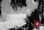 Image of campaign against Syphilis Georgia United States USA, 1938, second 49 stock footage video 65675047048