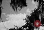 Image of campaign against Syphilis Georgia United States USA, 1938, second 50 stock footage video 65675047048