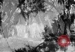 Image of campaign against Syphilis Georgia United States USA, 1938, second 52 stock footage video 65675047048