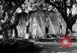 Image of campaign against Syphilis Georgia United States USA, 1938, second 56 stock footage video 65675047048