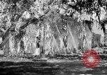 Image of campaign against Syphilis Georgia United States USA, 1938, second 57 stock footage video 65675047048