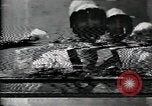 Image Accident de centrale nucléaire de Three Mile Island Pennsylvania United States USA, 1979, de la seconde 3 séquences d'archives historiques vidéo 65675047056
