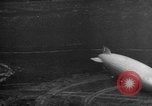 Immagine di Hindenburg Zeppelin Lakehurst New Jersey USA, 1936, secondo 61 filmato di repertorio 65675047067
