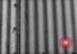 Image of Hindenburg Zeppelin Lakehurst Naval Air Station New Jersey USA, 1936, second 62 stock footage video 65675047073