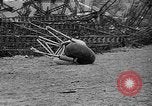 Image of explosion of Hindenburg New Jersey United States USA, 1937, second 53 stock footage video 65675047081