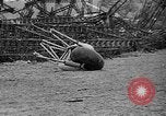Image of explosion of Hindenburg New Jersey United States USA, 1937, second 54 stock footage video 65675047081