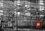 Image of USS Los Angeles Friedrichshafen Germany, 1924, second 53 stock footage video 65675047090