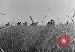Standbild deutsche Truppen Sowjetunion, 1941, aus Sekunde 24 historischem Filmmaterial Videoclip 65675047118