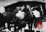 Image of Hitler youth Germany, 1944, second 32 stock footage video 65675047121