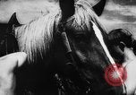 Image of Hitler youth Germany, 1944, second 34 stock footage video 65675047121