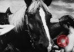 Image of Hitler youth Germany, 1944, second 35 stock footage video 65675047121