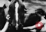 Image of Hitler youth Germany, 1944, second 36 stock footage video 65675047121