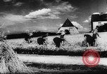 Image of Hitler youth Germany, 1944, second 43 stock footage video 65675047121