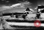 Image of Hitler youth Germany, 1944, second 44 stock footage video 65675047121